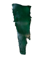 Peau verte sapin Fine