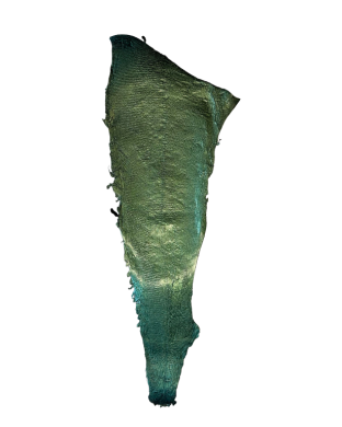 Peau verte irisé Grande