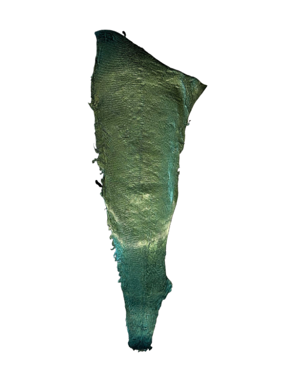 Peau verte irisé Grande