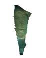 Peau verte irisé Grande