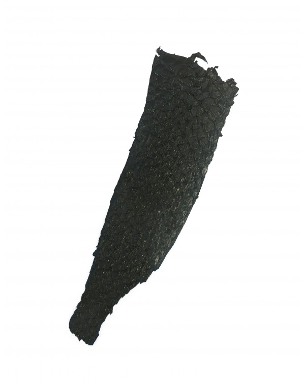 Peau à écailles noire Fine