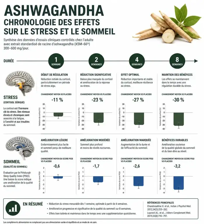 Infographie montrant le délai d'action de l'ashwagandha sur le stress et le sommeil sur 8 semaines