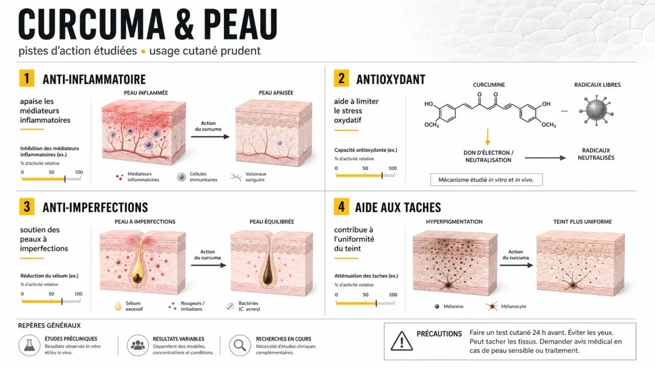 Infographie des curcuma bienfaits sur la peau : anti-inflammatoire, antioxydant, anti-imperfections et précautions